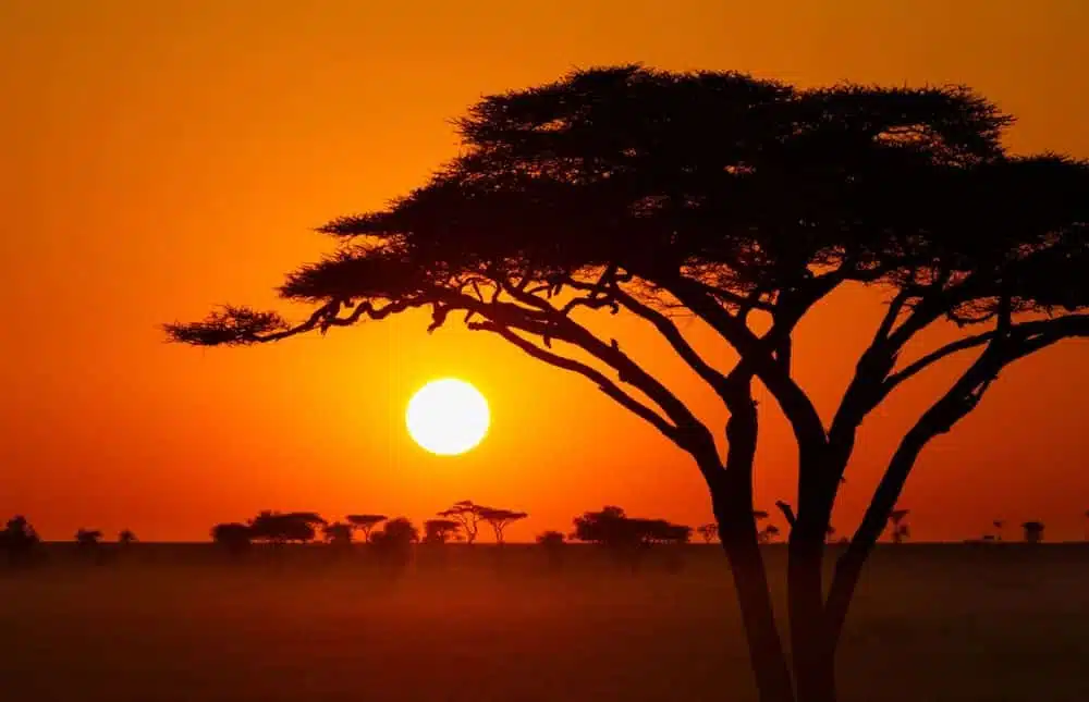 Bandeau-Afrique_img1000x645