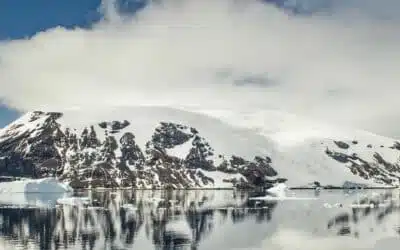 Antarctique : le voyage d’une vie