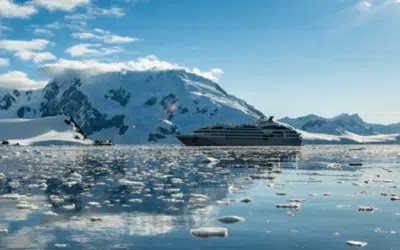 Destins croisés en Antarctique