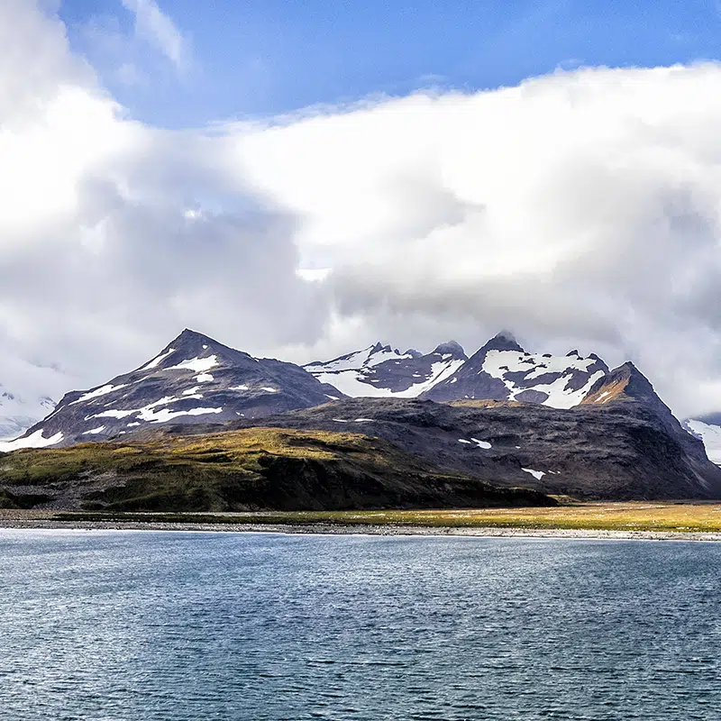 TERRES_AUSTRALES-header