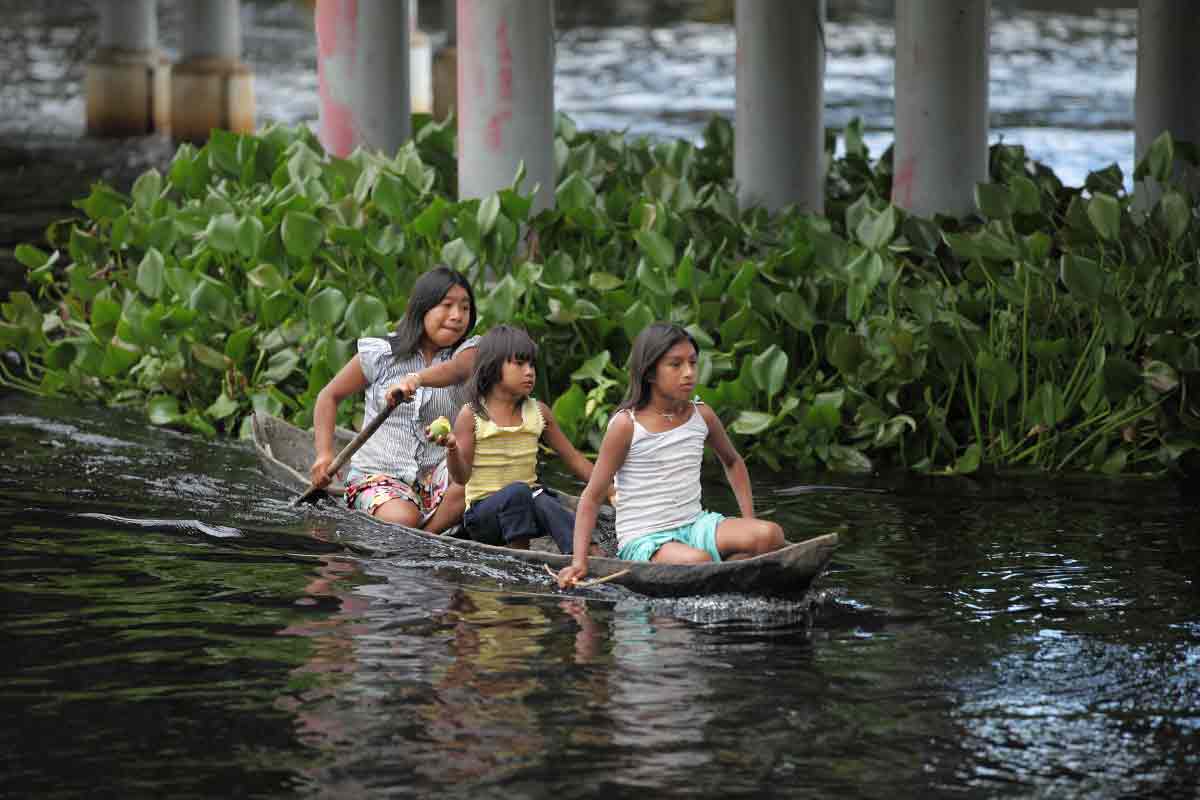 Warao_pirogue