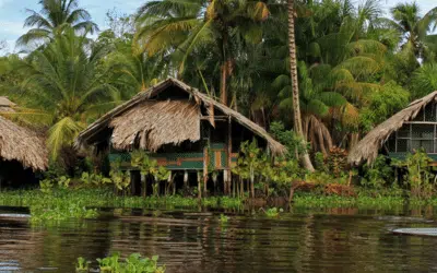 The Waraos people: master of the river and history