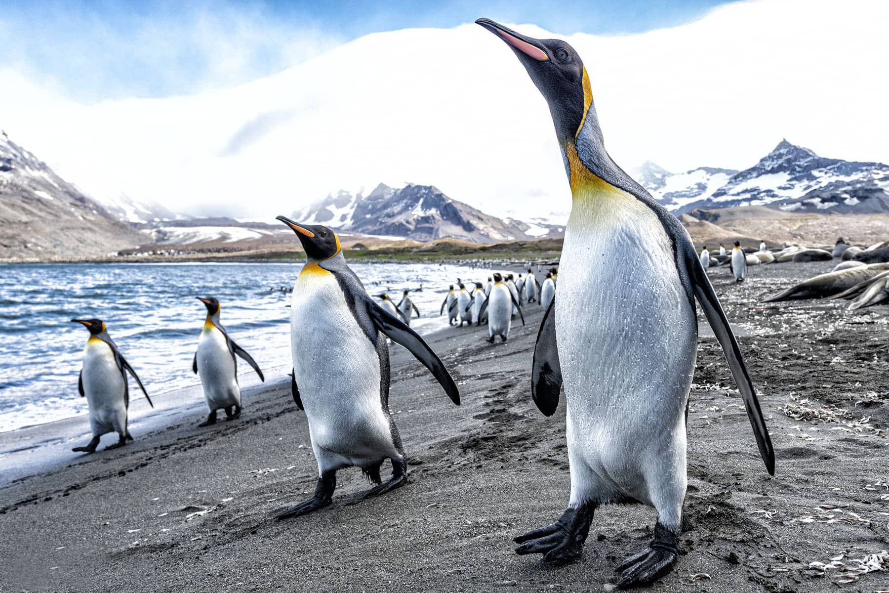https___escales.ponant.com_wp-content_uploads_iStock-868799538-1-1