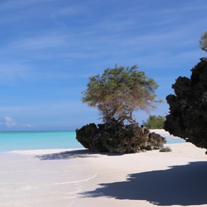 iles-eparses-croisiere-ponant