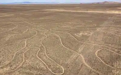 The Nazca Lines