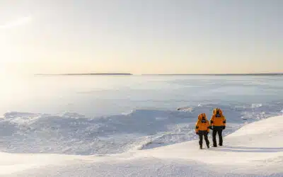 What should you pack for a trip to the polar regions?