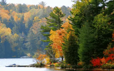 Canada : exploring the spectacular Great Lakes