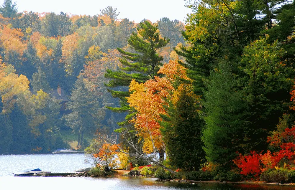 saint-laurent-grands-lacs-canada-croisire_img1000x645
