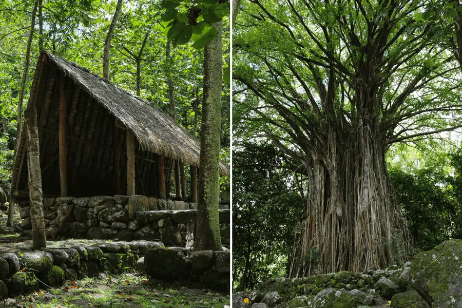 site-archeologique-Kamuihei-1