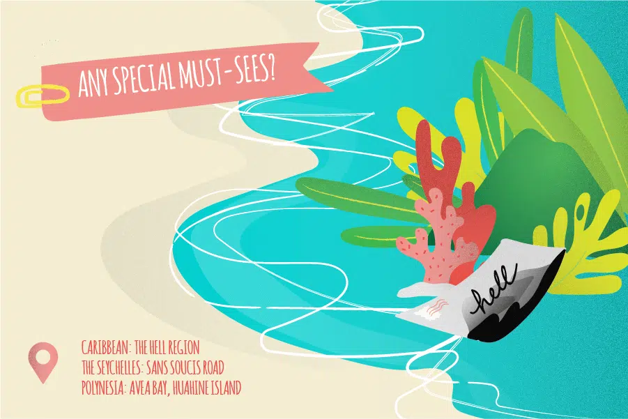 EN-any-special-must-sees