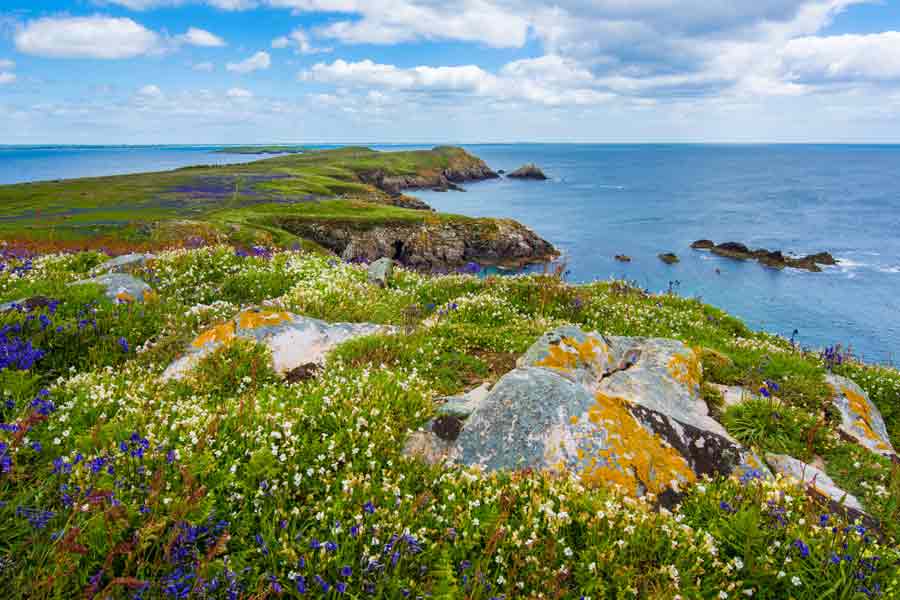 Irlande