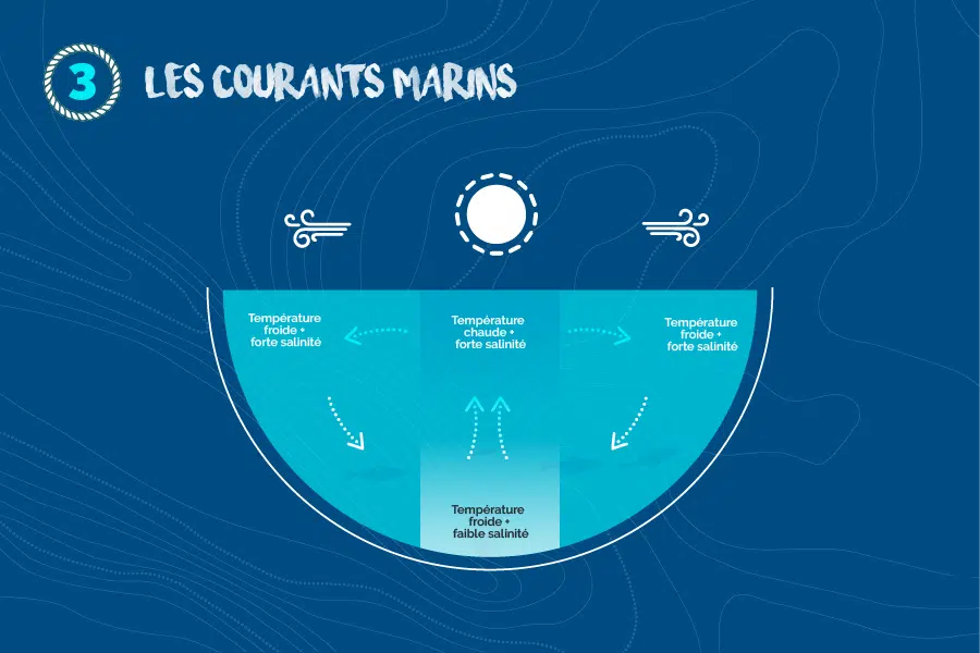 Les-courants-marins