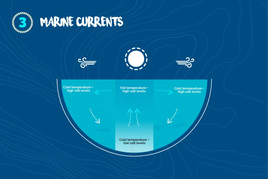 Marine-currents