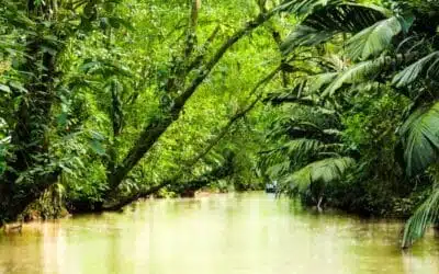 Ponant Discovery: the story of a scouting voyage to Guyana