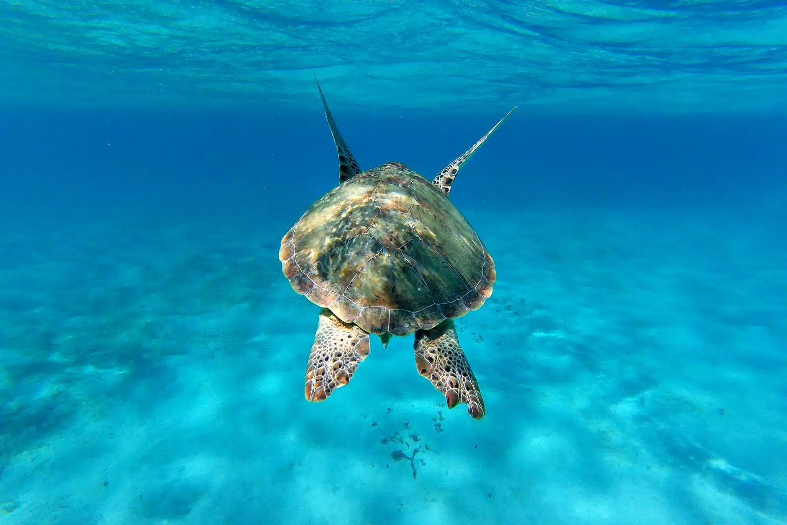 DCIM823GOPRO