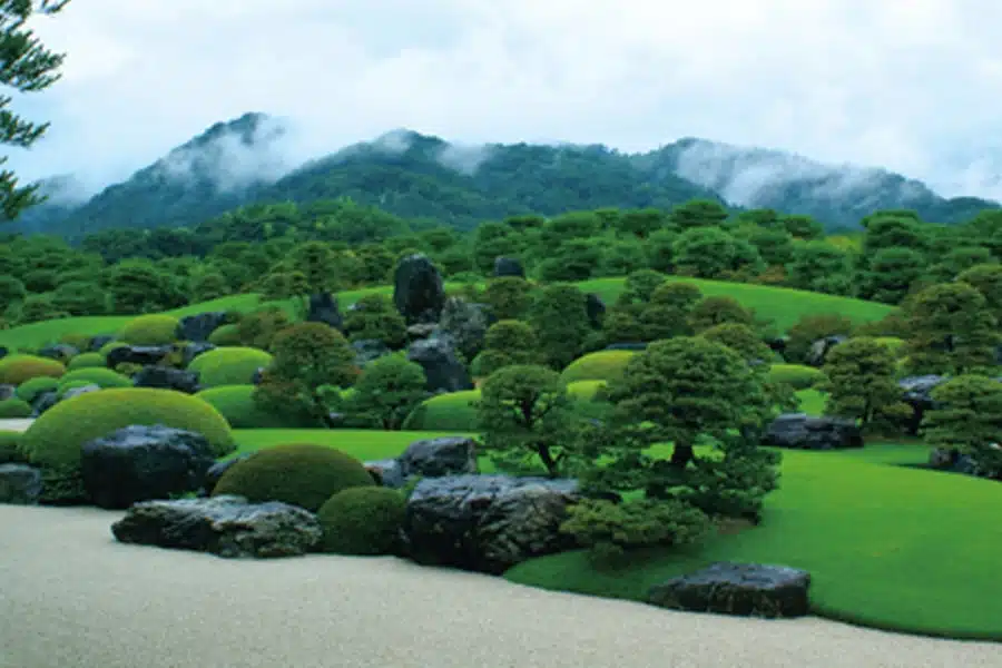 borrowed_scenery-1