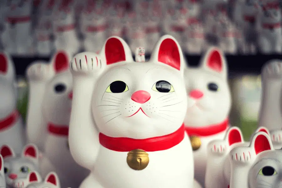 chat-japon