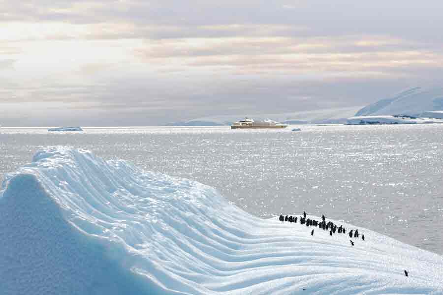 croisiere-romantique-couple-surprise