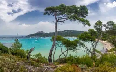 Les îles d’Hyères, c’est aujourd’hui !