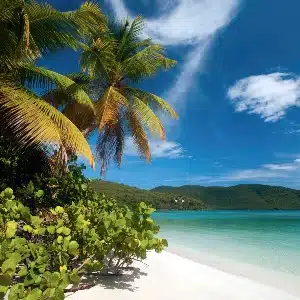 iStock_000010735383Large-1