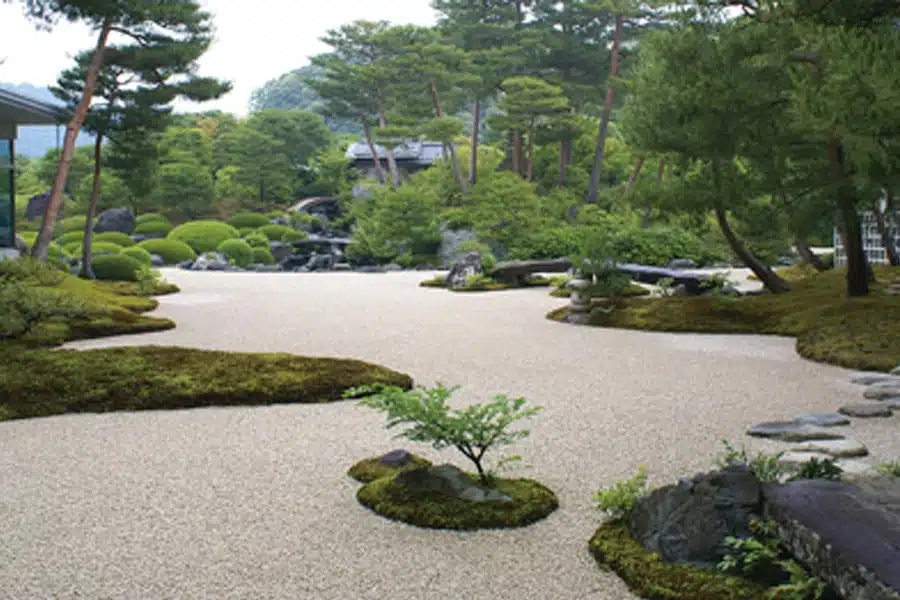 moss_garden-1