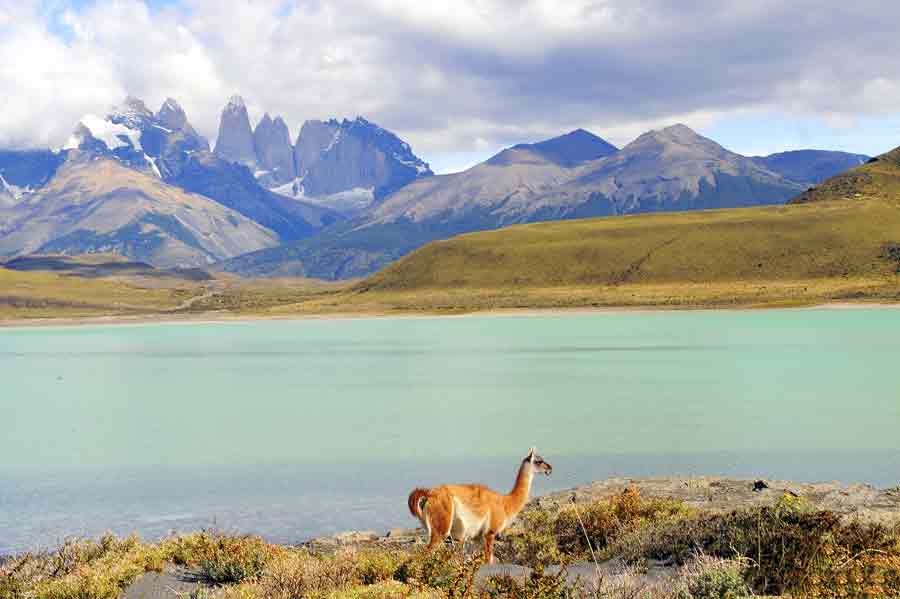 patagonie