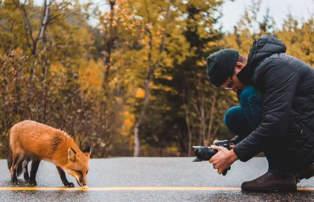 une-animaux