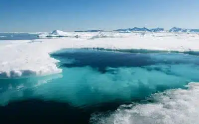 Où aller en Arctique ?