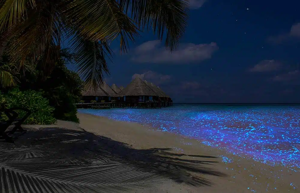 une-phenomenes-naturel