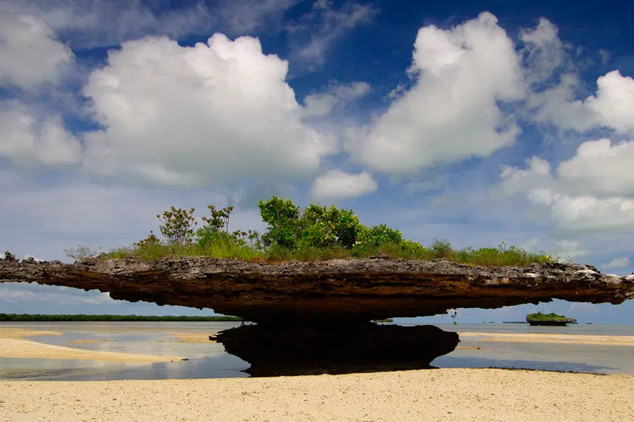 aldabra-900×600