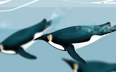 Le manchot empereur : la sentinelle de l’Antarctique