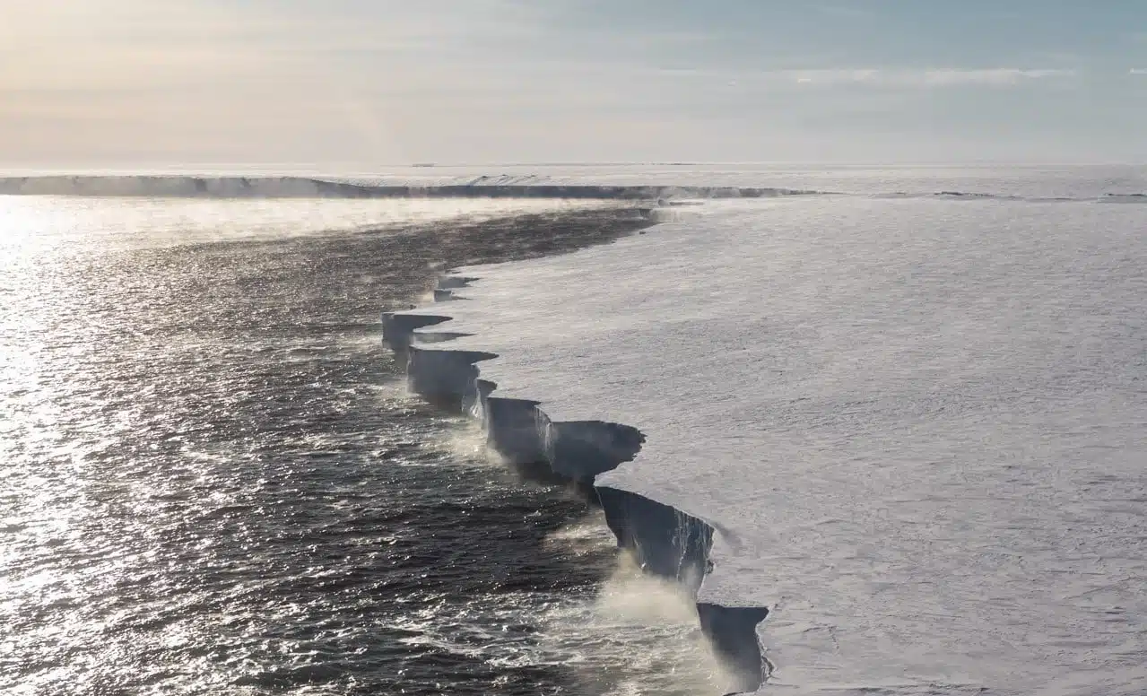 RossSea15©StudioPonant_MorganeMonneret (2)