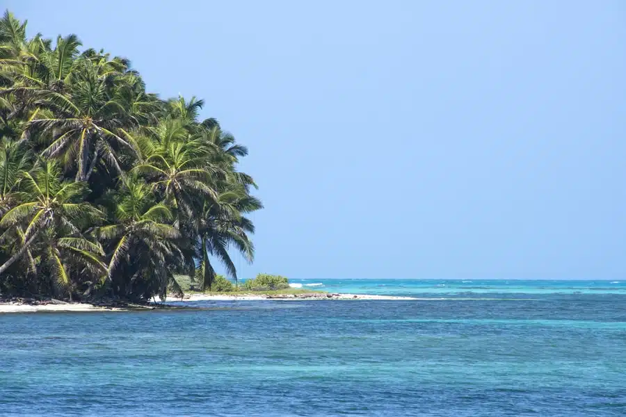 belize compressor 