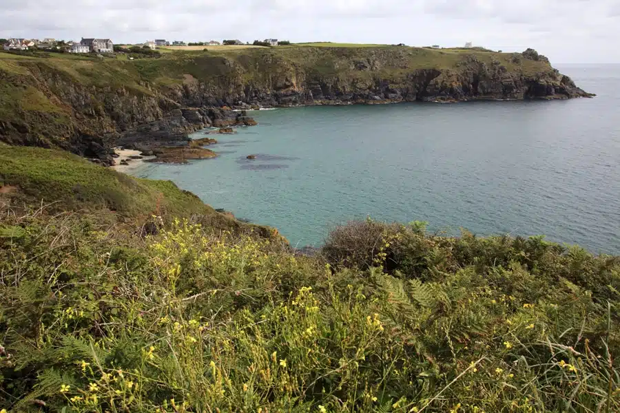 guernsey-rocher
