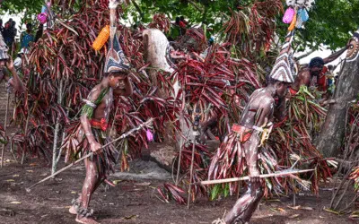 Expedition Story from the Shores of Melanesia
