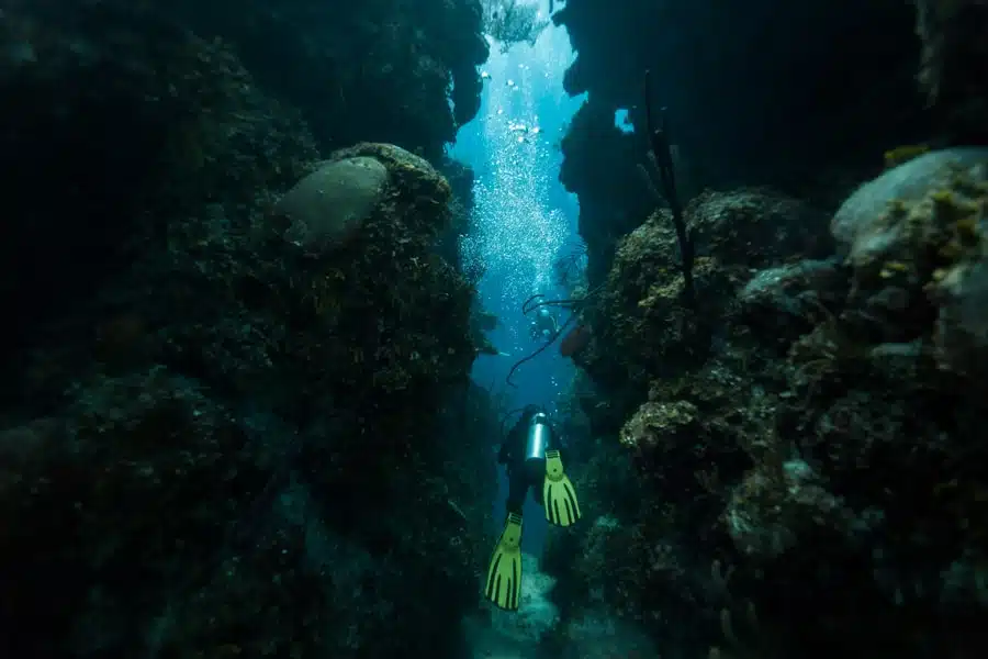 plongeur bleu hole