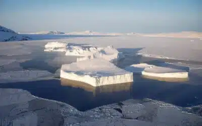 Expédition polaire au coeur de la banquise arctique