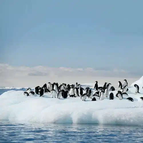 Navire d'exploration polaire se reflétant sur l'eau