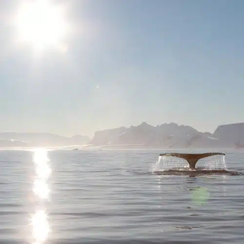 Tourisme : Nouvelle-Calédonie, vue rapprochée sur le lagon turquoise avec l'île du pin en arrière plan