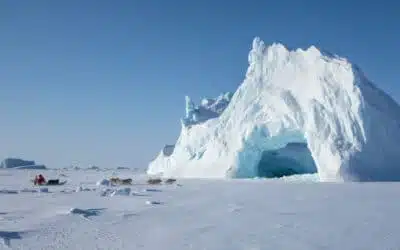 Le traîneau à chiens, l’histoire d’une pratique polaire