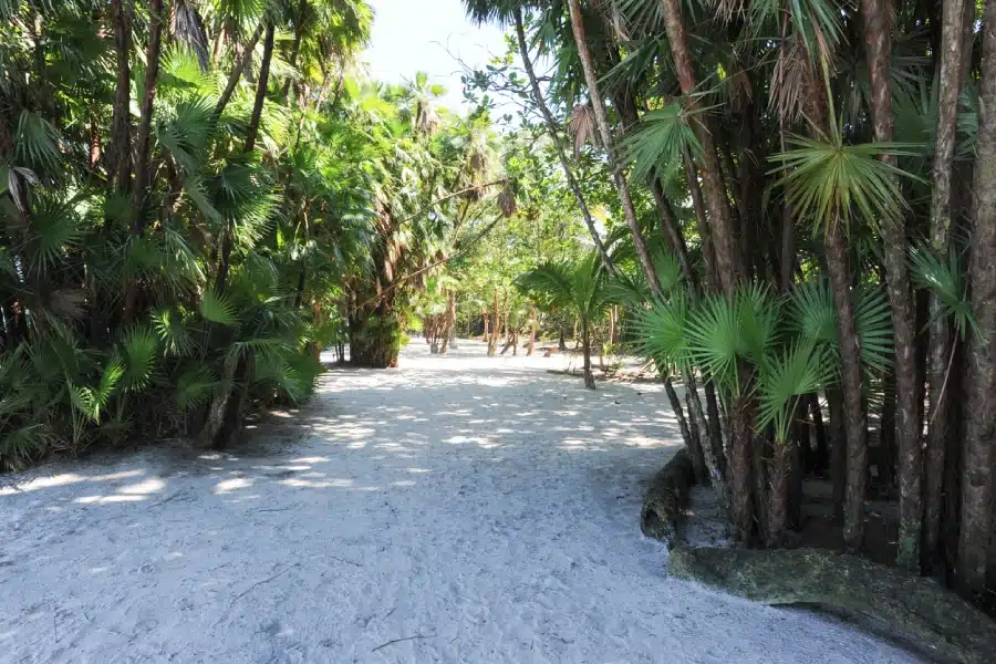 Visitez Livingston au Guatemala