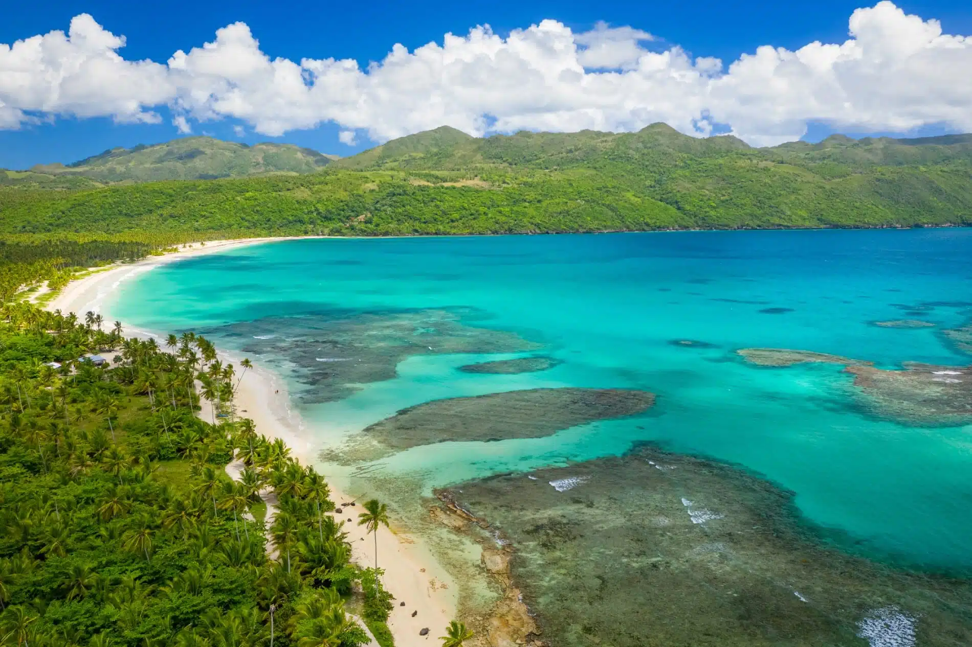La Baie de Samana, trésor préservé de la République Dominicaine