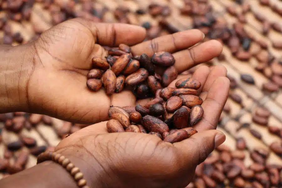 Produits luxueux de la gastronomie malgache