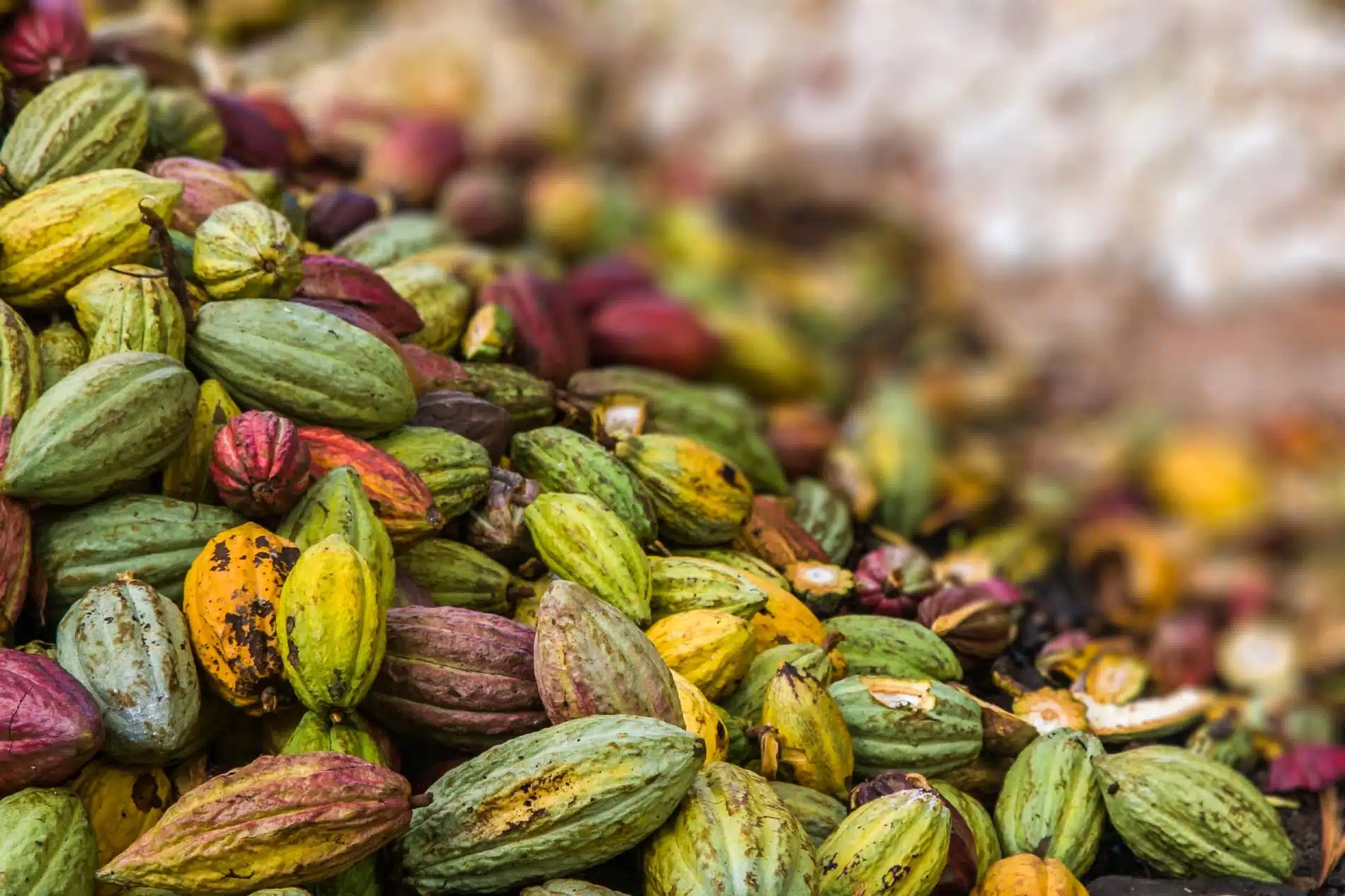 Produits luxueux de la gastronomie malgache