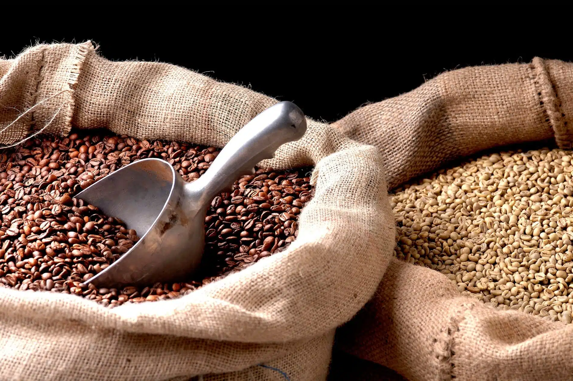 histoire du Café du Costa Rica au Guatemala