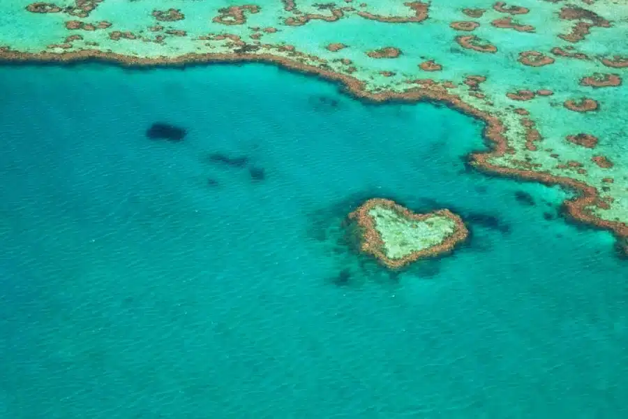 La mer de corail de l’Australie au Vanuatu