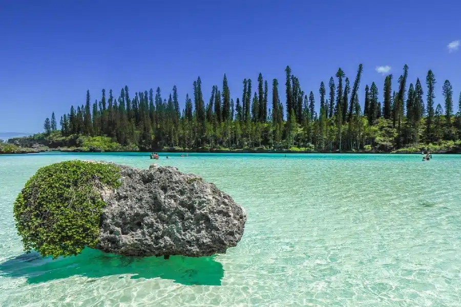 La mer de corail de l’Australie au Vanuatu