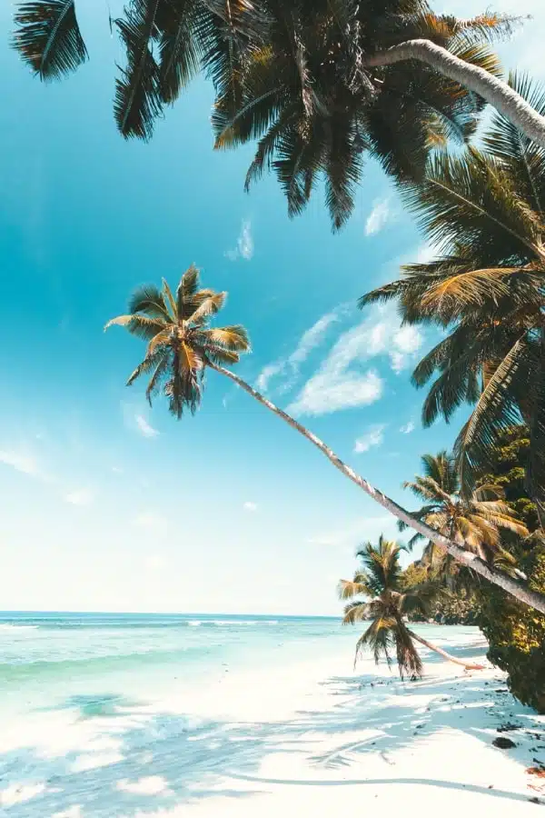 Archipel des Amirantes aux Seychelles