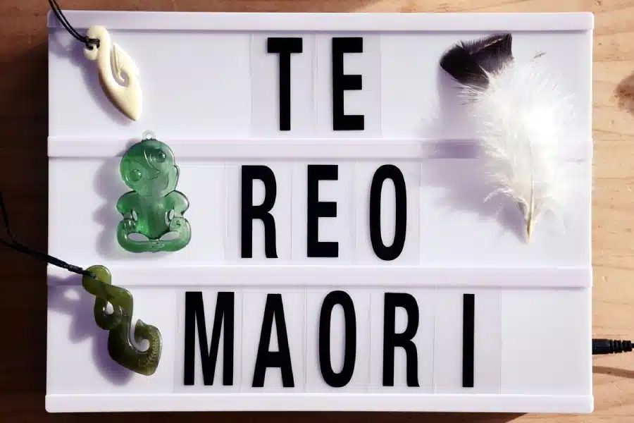 Rencontre avec les Maoris