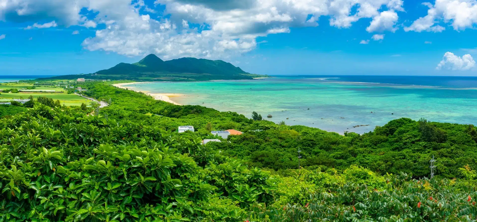 Voyage spirituel dans les archipels d’Okinawa et Ryukyu au Japon